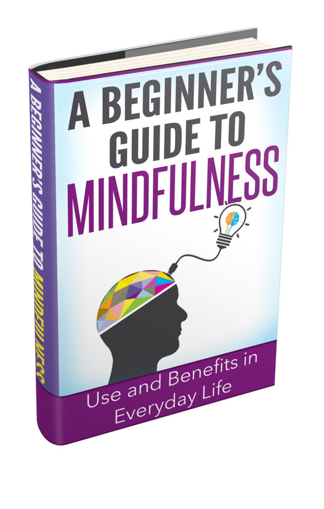 Mindfulness eBook - Timely Guidance